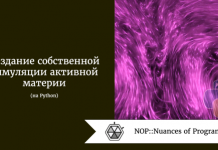 Создание собственной симуляции активной материи на Python Создание собственной симуляции активной материи на Python