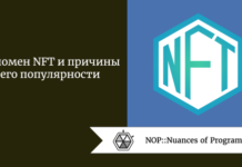 Феномен NFT и причины его популярности Феномен NFT и причины его популярности