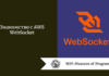 Знакомство с AWS WebSocket