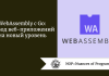 WebAssembly с Go: вывод веб-приложений на новый уровень
