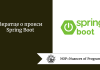 Вкратце о прокси Spring Boot