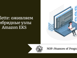 Palette: оживляем гибридные узлы Amazon EKS
