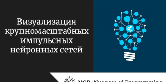 Визуализация крупномасштабных импульсных нейронных сетей Визуализация крупномасштабных импульсных нейронных сетей